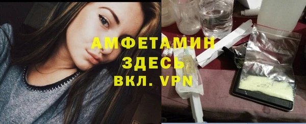СК Пересвет