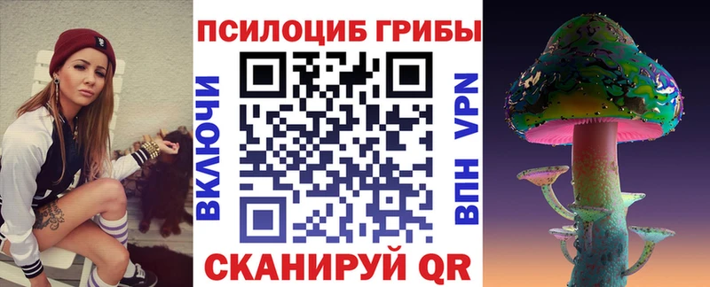 omg как войти Долинск Галлюциногенные грибы мицелий